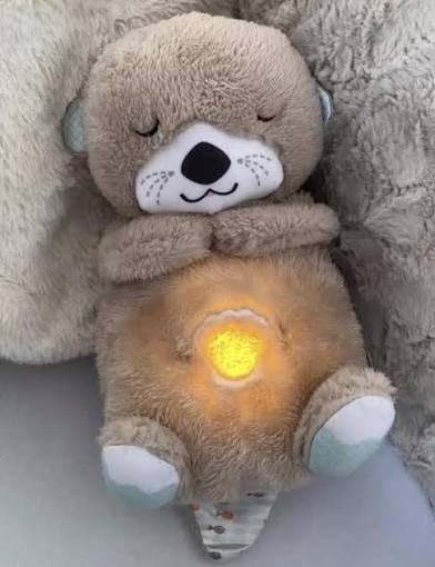 الدب المتنفس